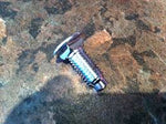 Chrome Bumper Bolt