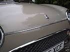 Figaro Bonnet Chrome Strip