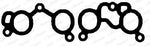 Nissan Pao Intake Gaskets